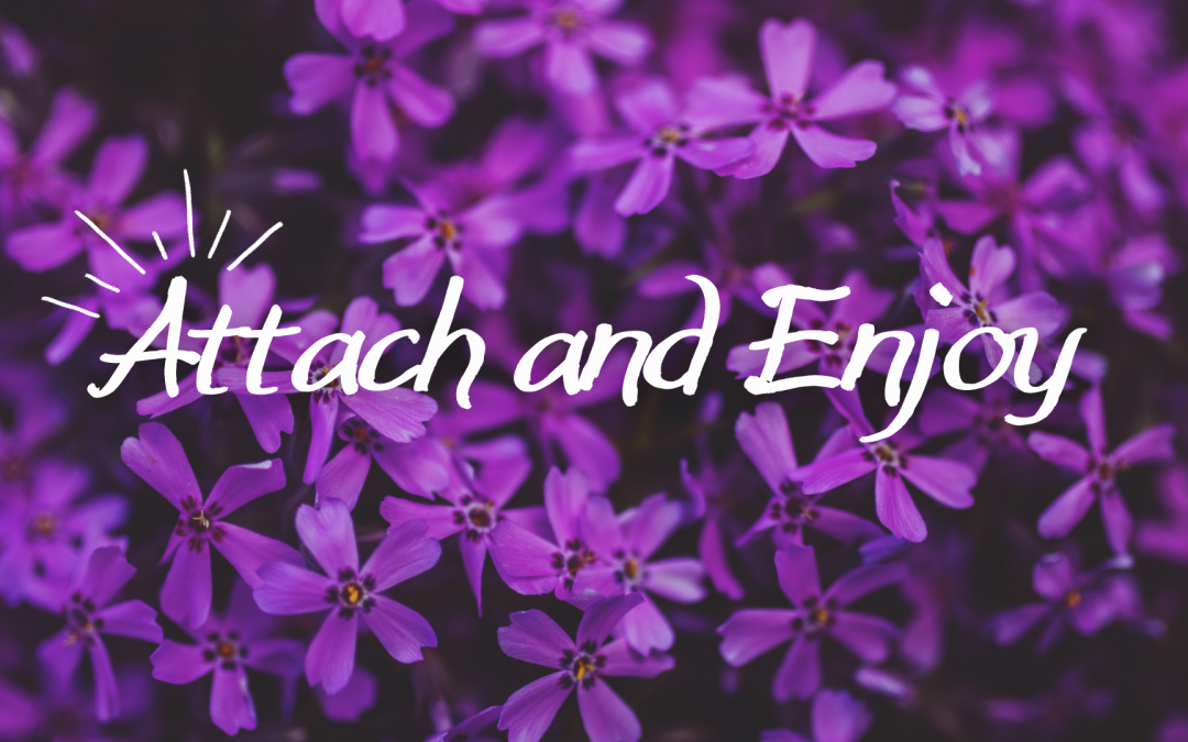 Attach and Enjoy