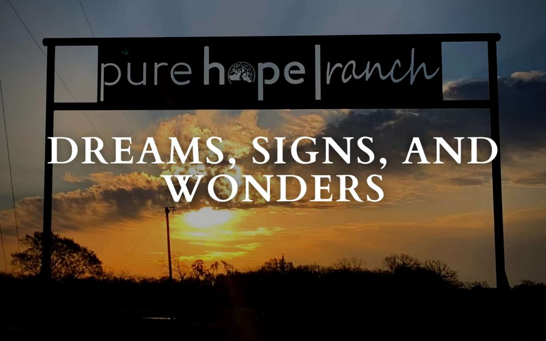 Dreams, Signs, and Wonders
