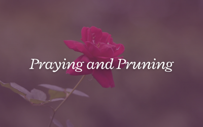 Praying and Pruning