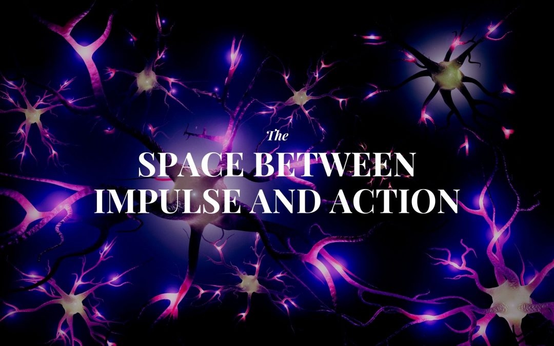 The Space Between Impulse and Action