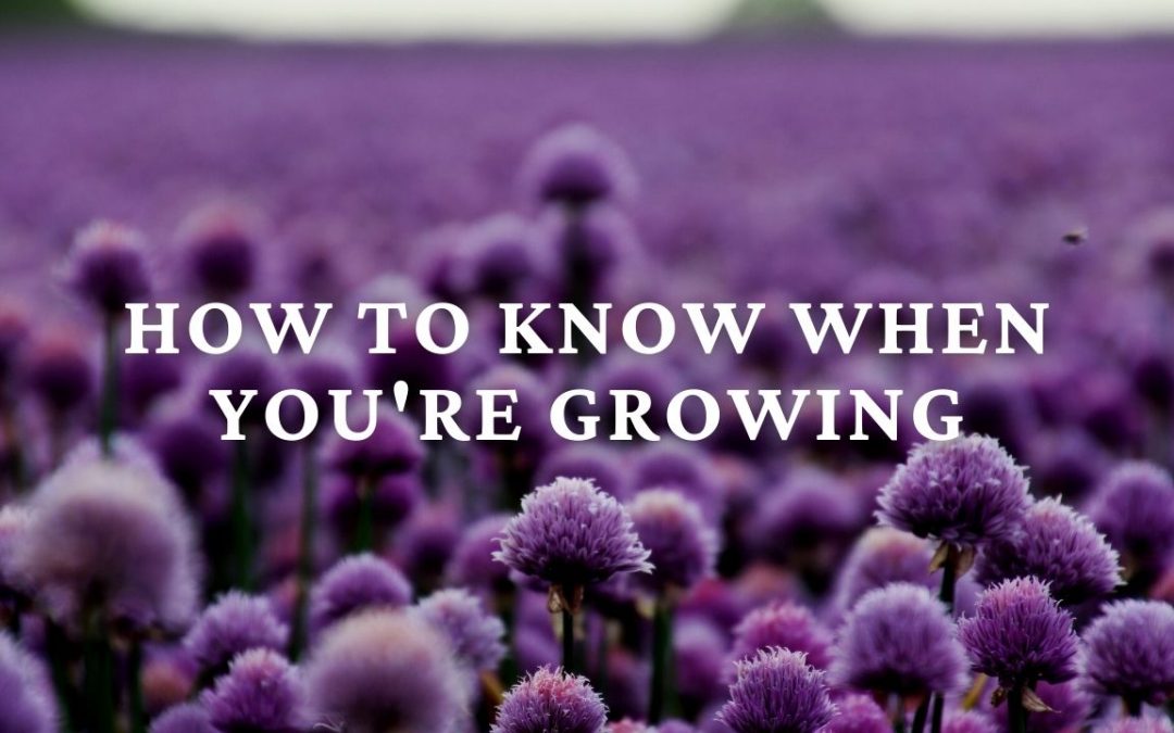How to Know When You’re Growing