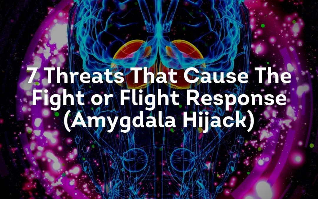 7 Threats That Cause The Fight or Flight Response (Amygdala Hijack)