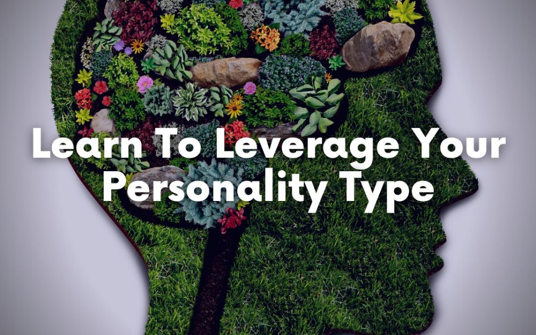 Learn To Leverage Your Personality Type