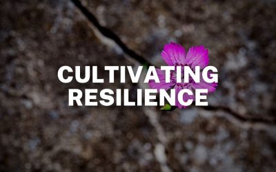 Cultivating Resilience