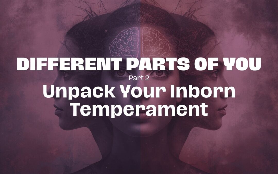 Part 4 – Unpack Your Inborn Temperament
