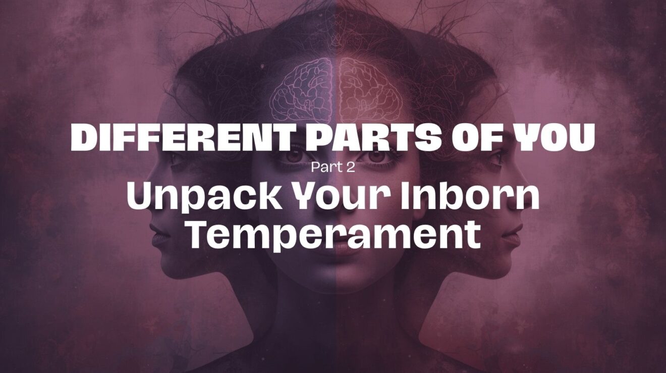 Success Set Up - September - Different Parts of You - Part 4 - Unpack Your Inborn Temperament -LIVE