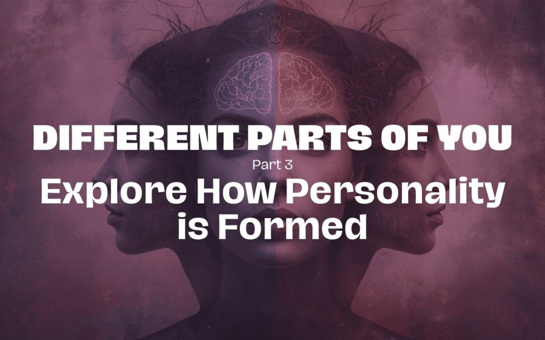 Part 3 – Explore How Personality is Formed