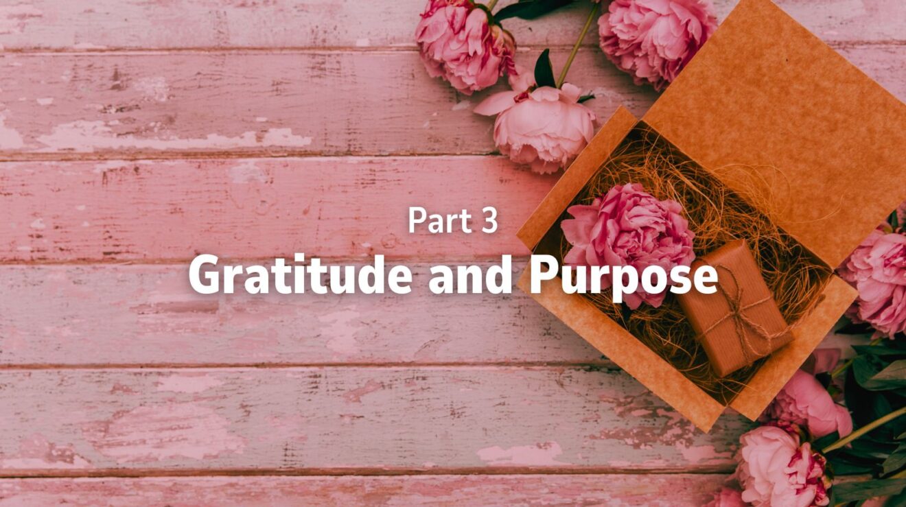 Success Set Up - November - Part 3 - Gratitude and Purpose - LIVE