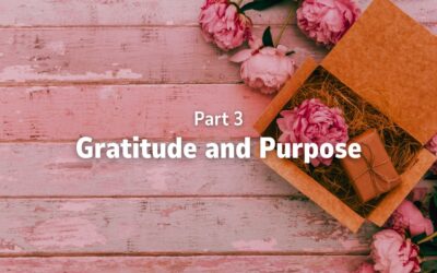 Part 3 – Gratitude and Purpose