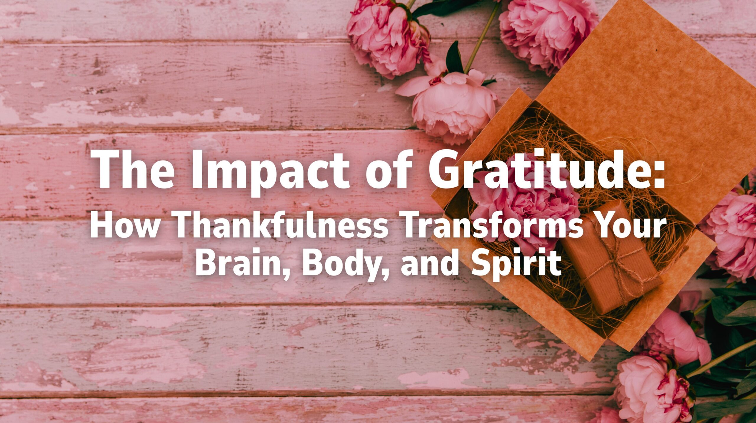 wp-content/uploads/2025/11/The-Impact-of-Gratitude-Series-Image-scaled.jpg