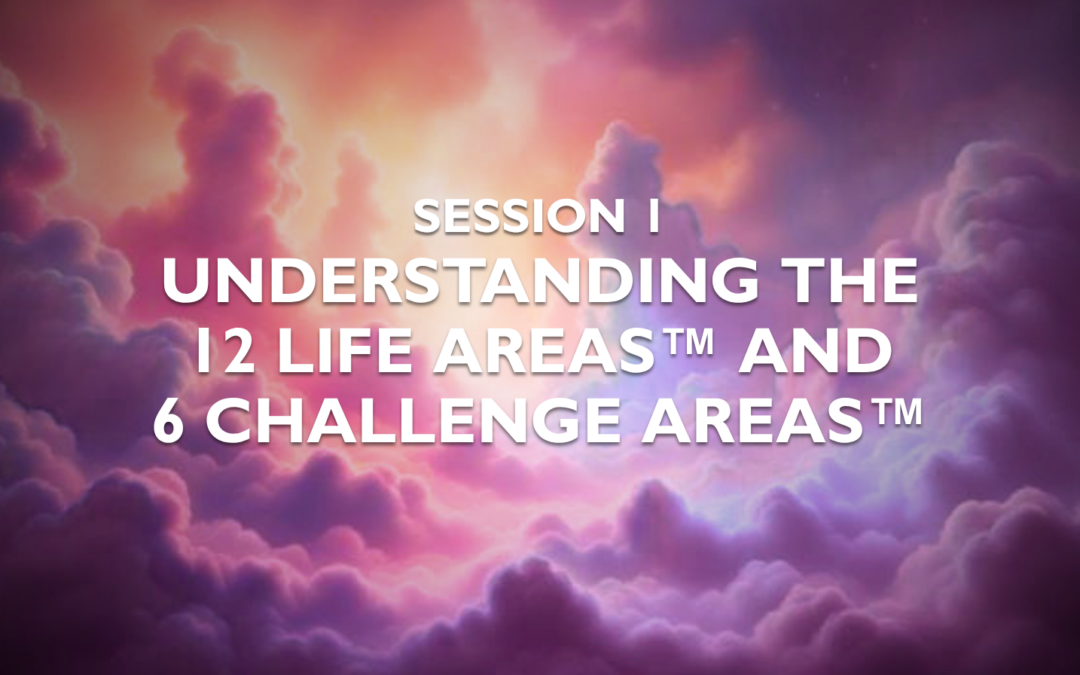 Session 1 — Understanding the 12 Life Areas™ and 6 Challenge Areas™