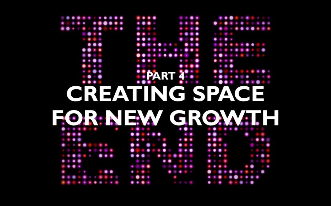 Part 4 – Creating Space for New Growth
